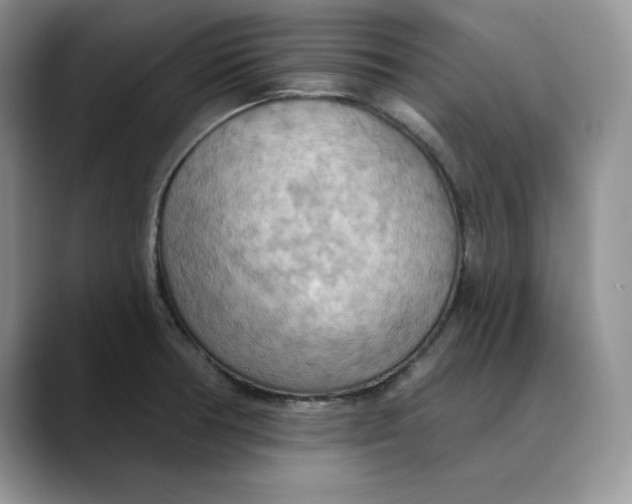 X0000088491378200706121541