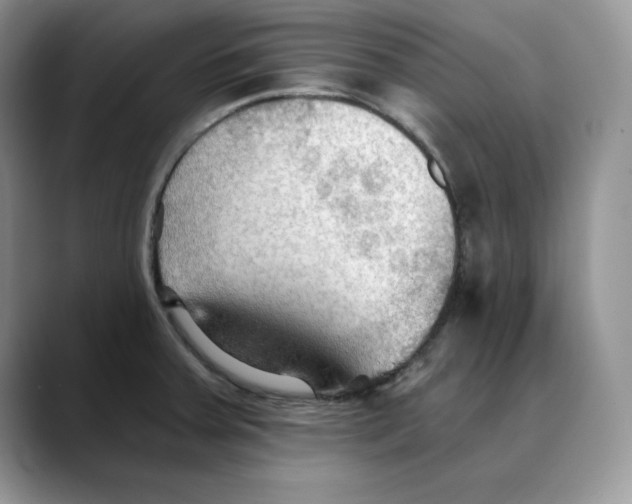 X0000088491379200706121541