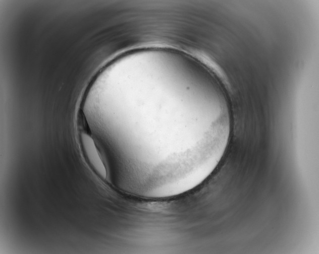 X0000088491380200706121541