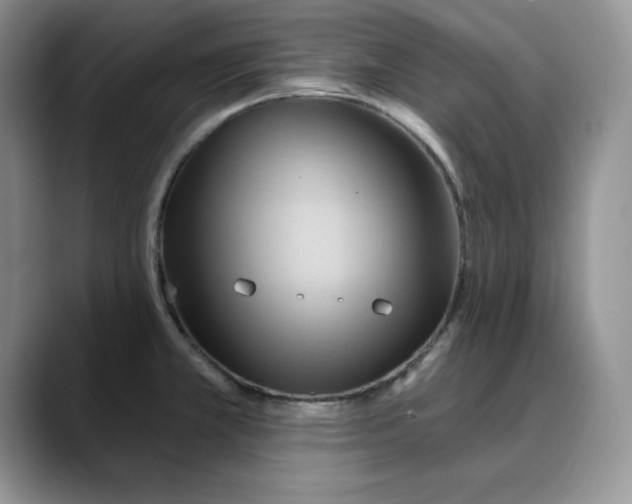 X0000088491381200706121541