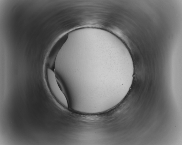 X0000088491383200706121541