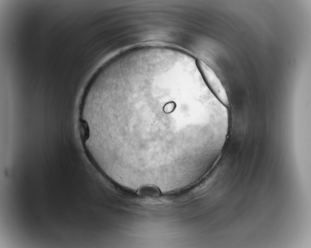 X0000088491384200706121541