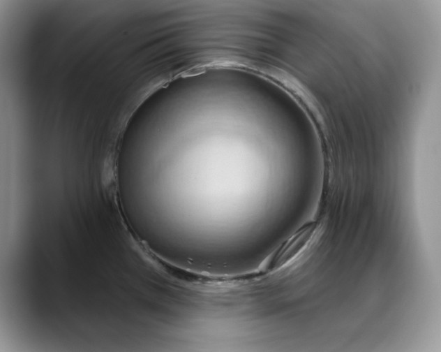 X0000088491385200706121541