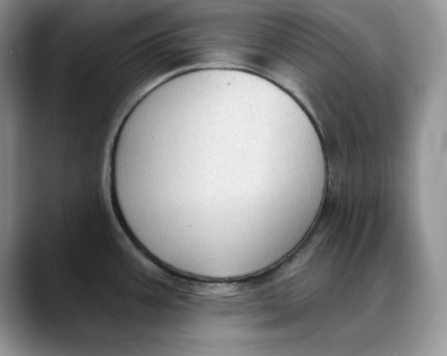 X0000088491387200706121541