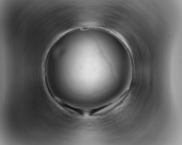 X0000088491389200706121541