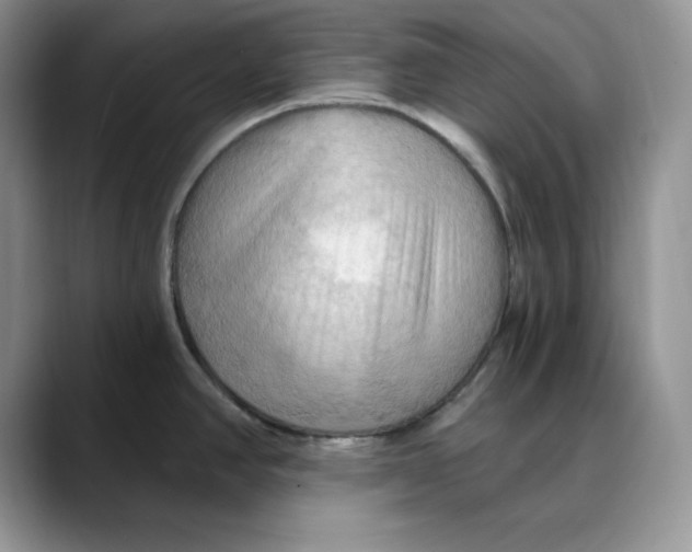 X0000088491390200706121541