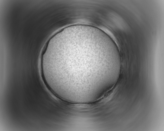 X0000088491391200706121541