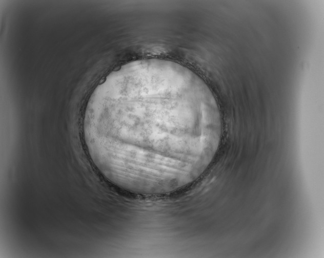 X0000088491393200706121540