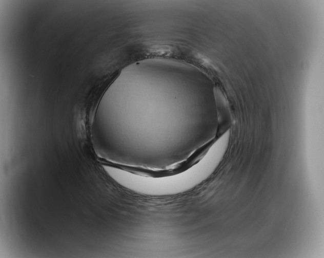 X0000088491394200706121540