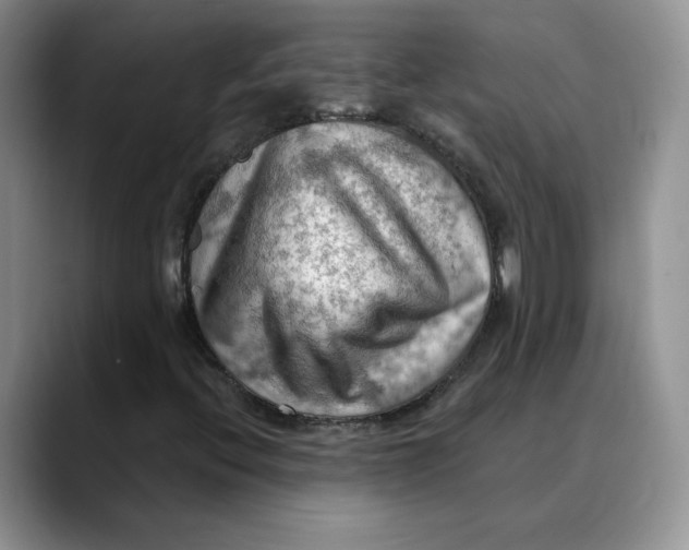 X0000088491396200706121540