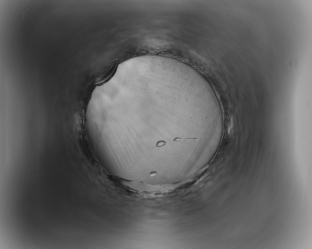 X0000088491397200706121540