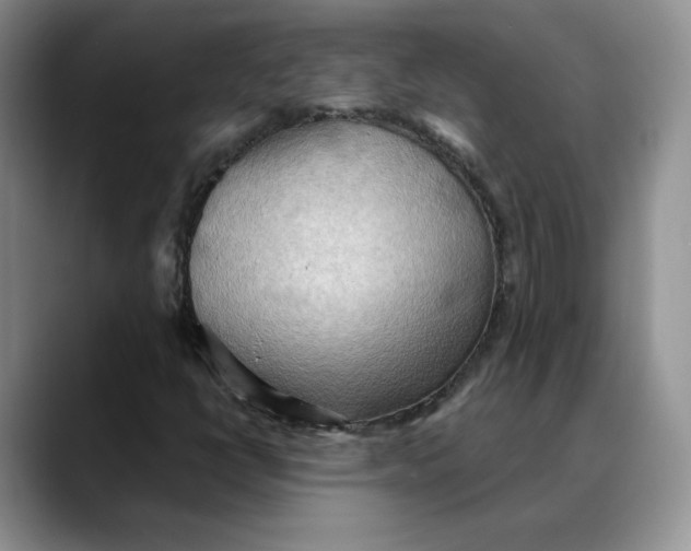 X0000088491398200706121540