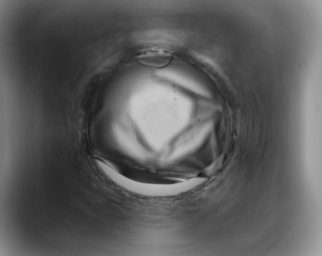 X0000088491399200706121540