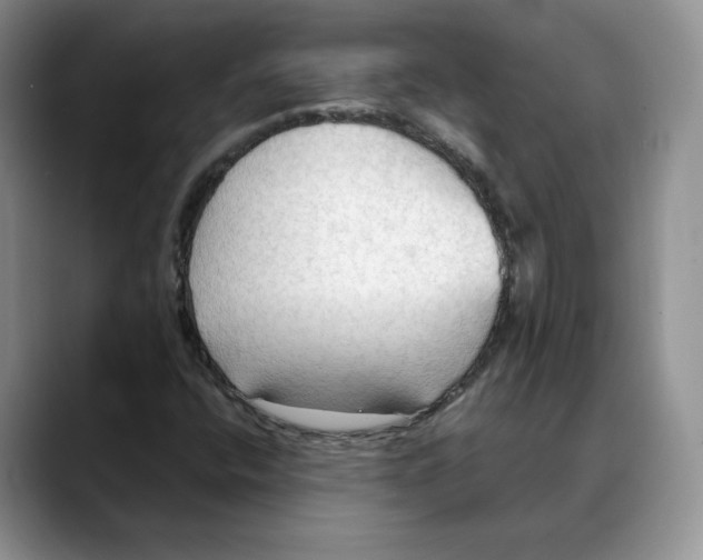 X0000088491400200706121540