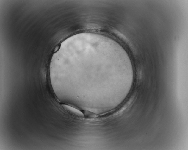 X0000088491401200706121540