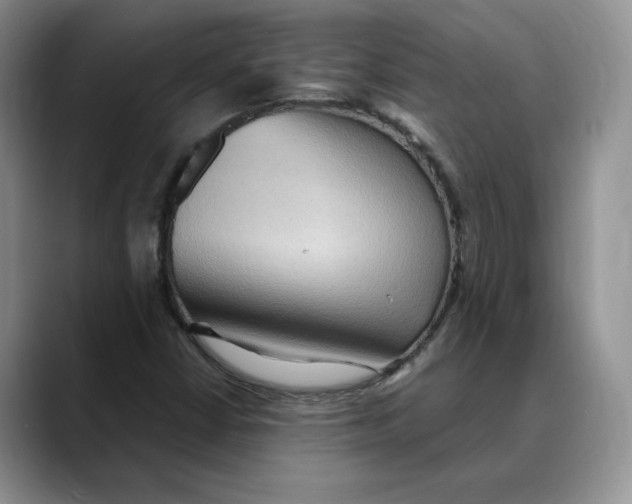 X0000088491402200706121540