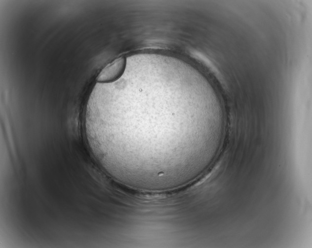 X0000088491403200706121540