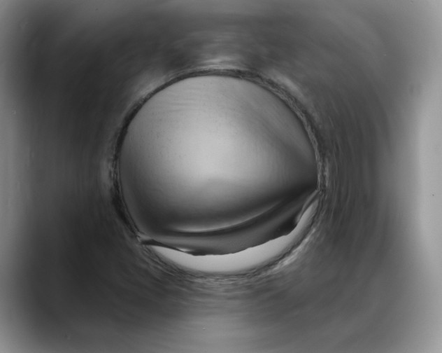 X0000088491405200706121540