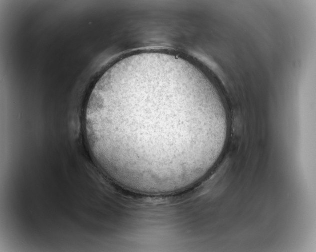 X0000088491407200706121540