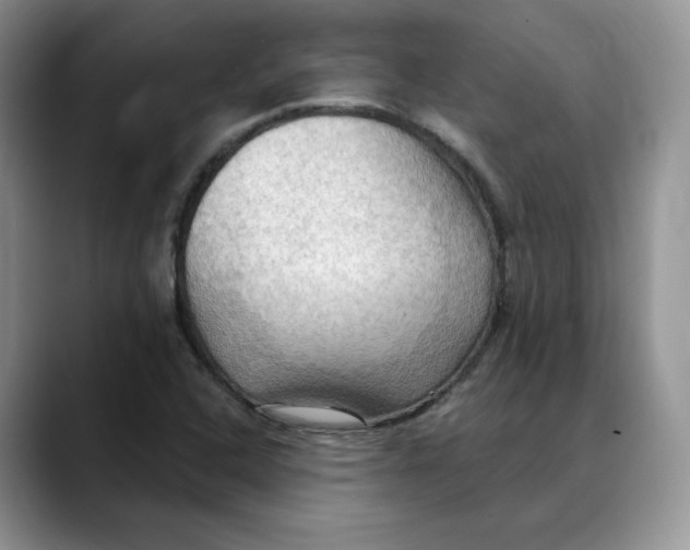 X0000088491408200706121540