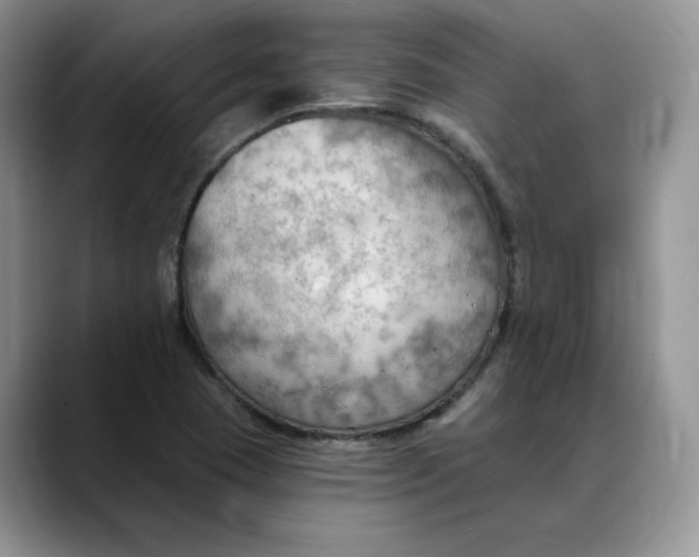 X0000088491409200706121540