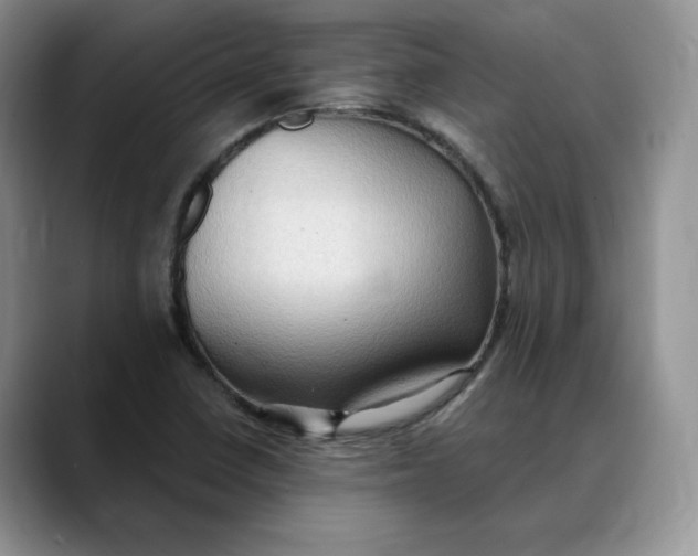 X0000088491410200706121540