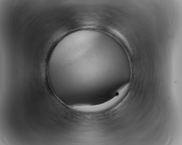 X0000088491411200706121540