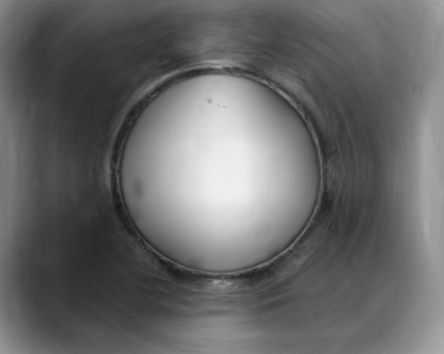 X0000088491412200706121541