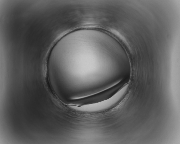 X0000088491413200706121541