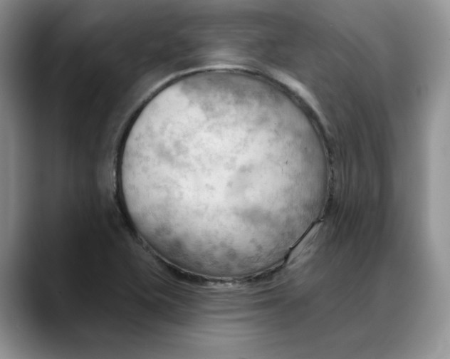 X0000088491415200706121541