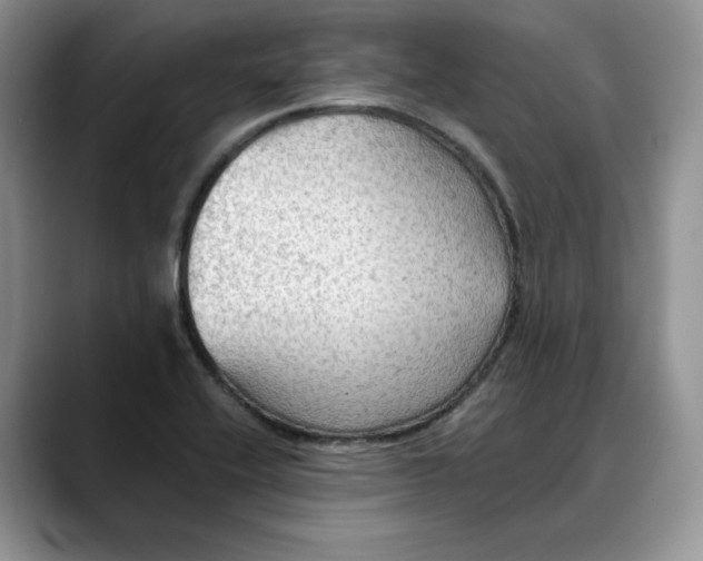 X0000088491416200706121541