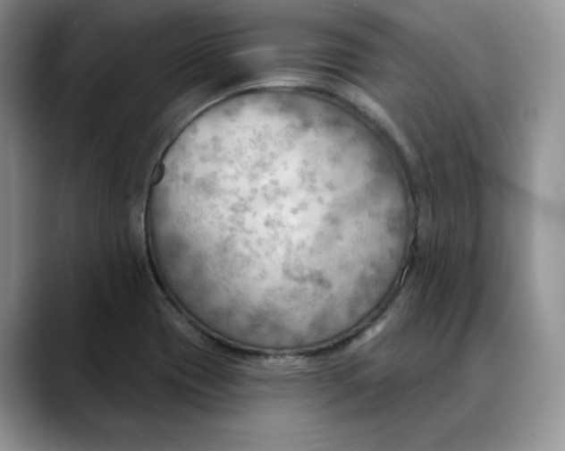 X0000088491417200706121541