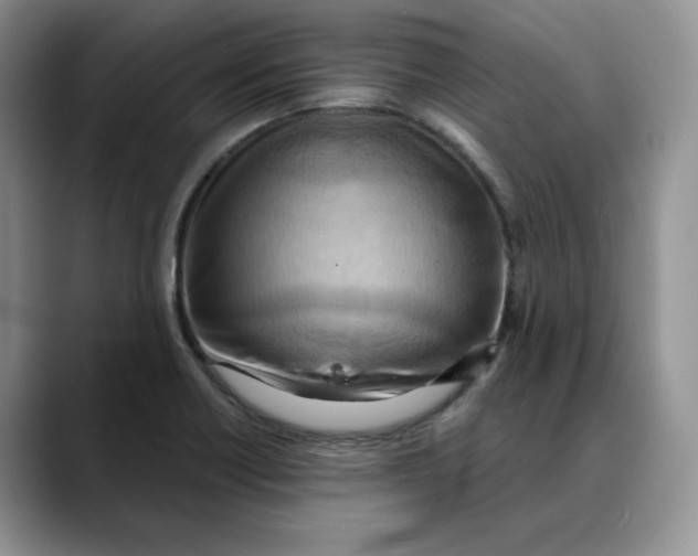 X0000088491418200706121541