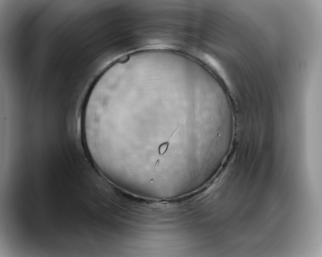 X0000088491419200706121541