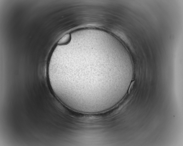 X0000088491420200706121541