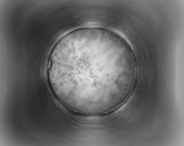 X0000088491421200706121541