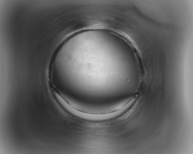 X0000088491422200706121541