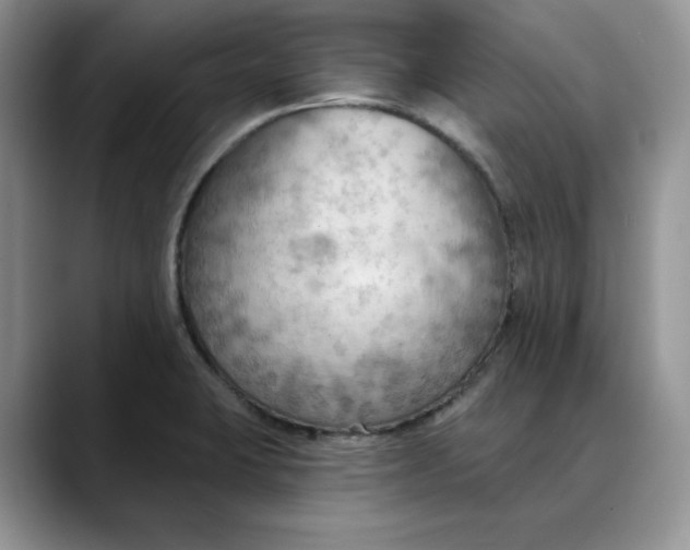 X0000088491423200706121541