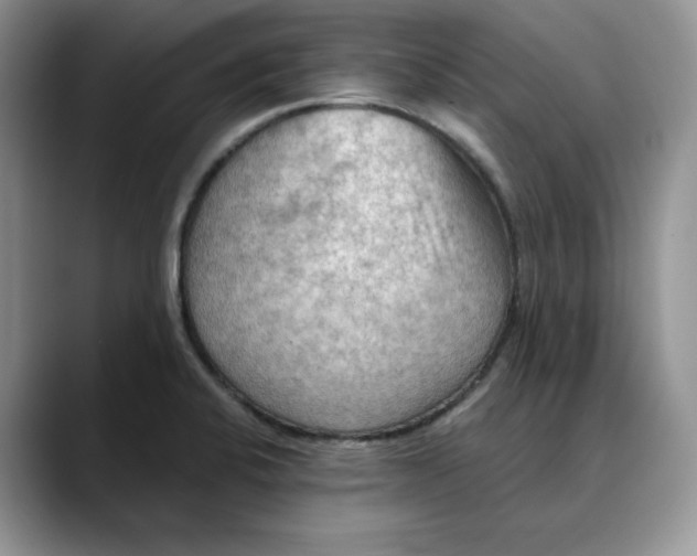 X0000088491424200706121541