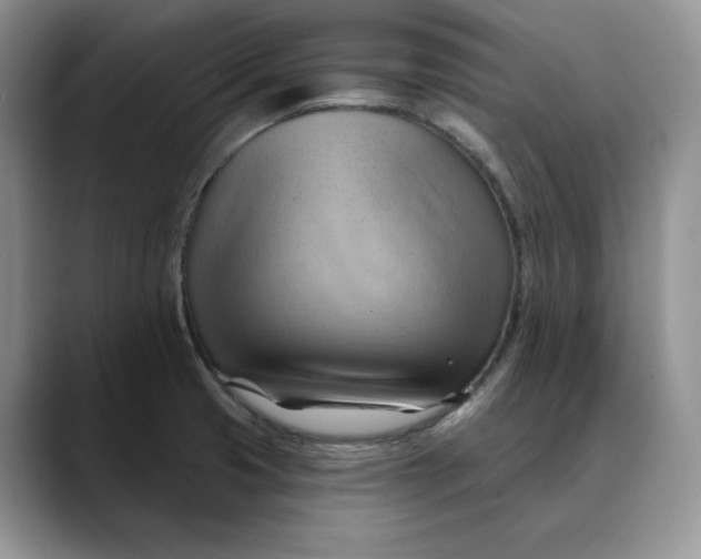 X0000088491425200706121541