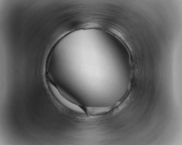 X0000088491426200706121541