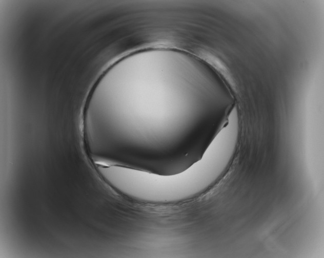 X0000088491428200706121541