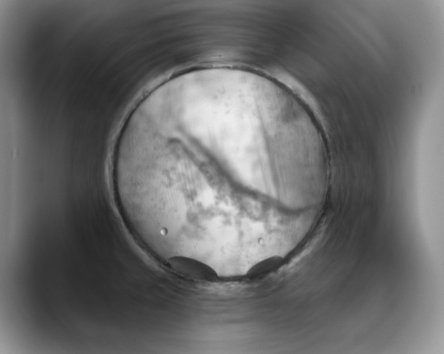 X0000088491429200706121541