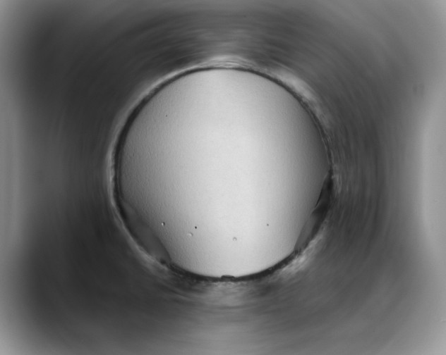 X0000088491430200706121541