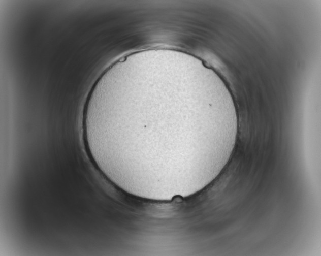 X0000088491431200706121541