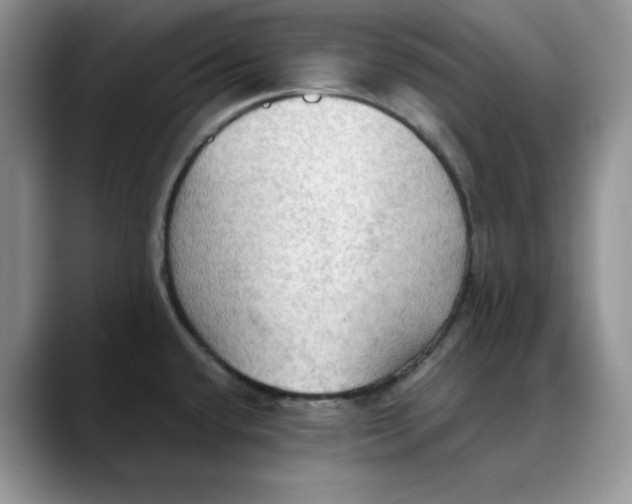 X0000088491432200706121541