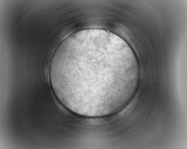 X0000088491433200706121541