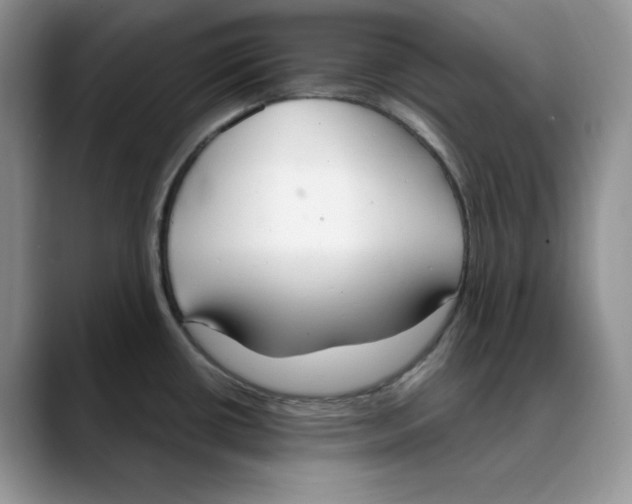 X0000088491434200706121541