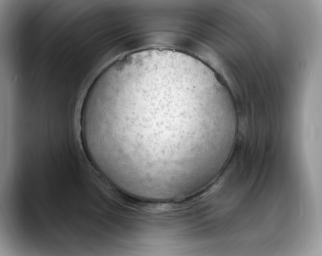 X0000088491435200706121541