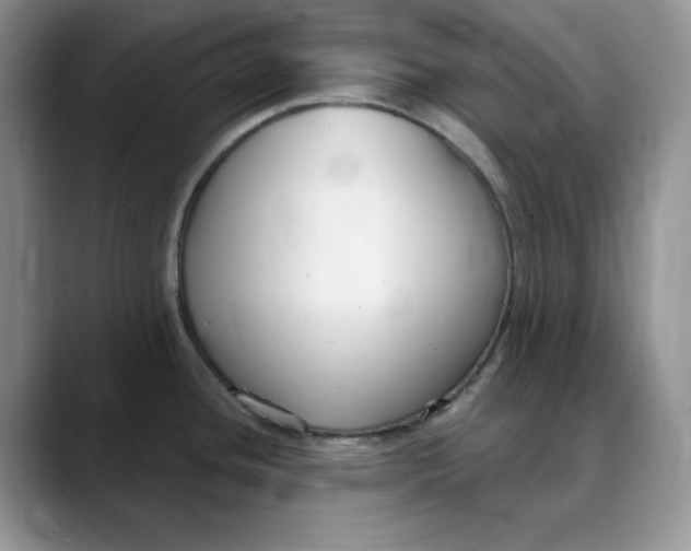 X0000088491436200706121541